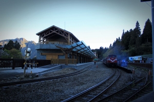 2013.0311阿里山鐵道之旅