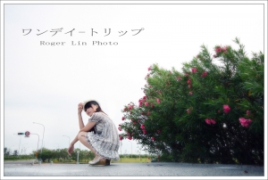 ワンデイ-トリップ