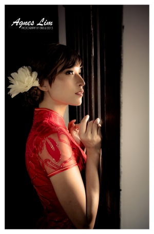 Agnes Lim 復古旗袍風