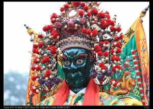 2011保生文化祭(圖多)