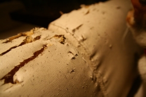 什麼東西比沙發椅墊還軟?