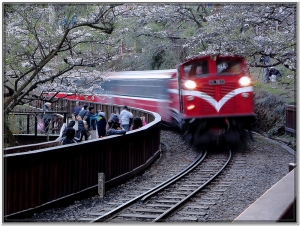 阿里山櫻花鐵道
