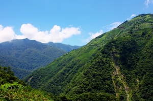 帶狗去遊玩