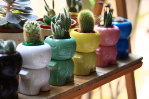 我的祕密花園~~Part I~~