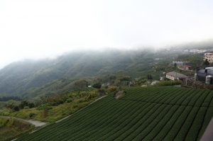 2012-12-31 隙頂 阿里山- 雲海~日落