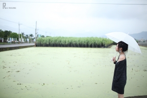 。阿薩 . 雨後。