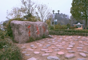 千島湖傷眼照,沒陽光更不會拍..請大家鞭打,不鞭長不大.
