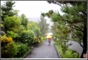 雨天的緣道觀音廟