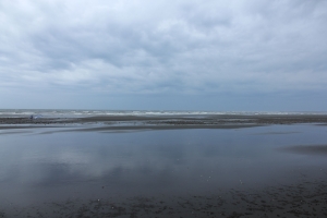 海邊隨拍