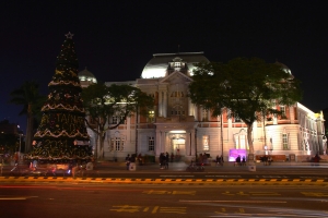 台灣文學館前沒點燈的聖誔樹