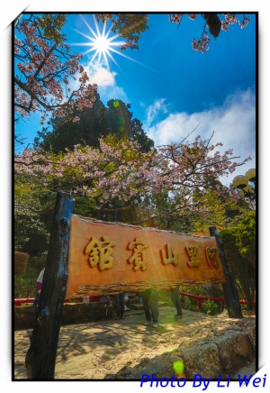 103年阿里山