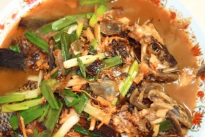 今天的午餐開動囉