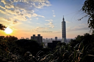 紫色101