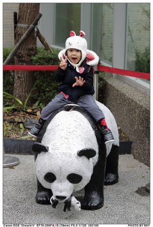 ABBY-動物園