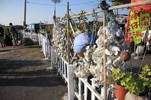 井仔腳鹽田與夕陽