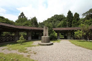 福山植物園的明星-小鷿鷈