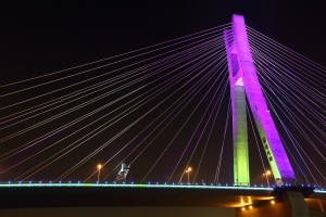 夜之新北大橋