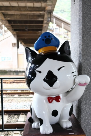 猴硐賞貓趣