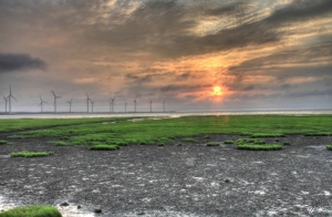 高美濕地黃昏HDR一張流
