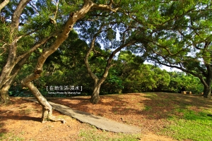 在地生活‧淡水