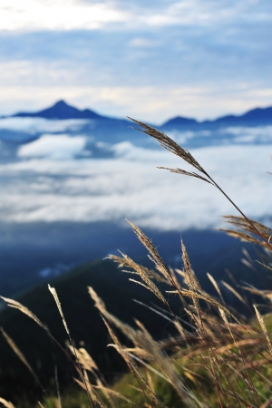 第一次登山