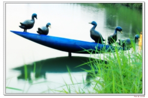 下班出去走走拍拍~~