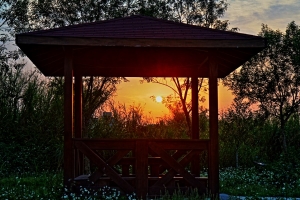 超重口味的...吃重鹹的再來