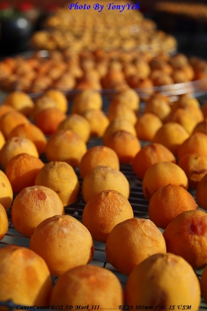 重溫九降風的柿子 ... By TONY