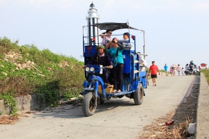 遊王功送荷花