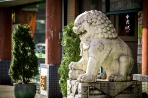 ►►► China Town 2014 紐約中國城 ● DV ◄◄◄