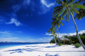 即將消逝的天堂-馬爾地夫(正片版)