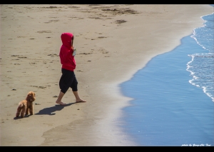 ::: 夕映竹圍．流雲彩虹橋 :::&nbsp;&nbsp;by 鄉民