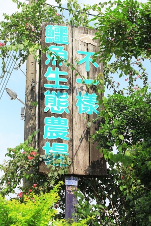 2013-05-26 屏東潮州 不一樣鱷魚生態農場 專釣大鱷&nbsp;&nbsp;