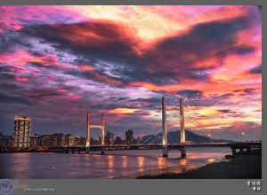 台北 火鳥燒燼重陽橋