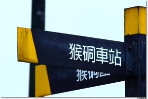 ●●●貓&nbsp;&nbsp;村●●●By雙胞胎爸