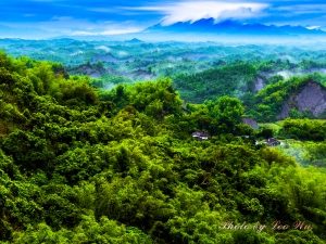 [6D] EF 24-105mm F4L IS USM 二寮 (一張流)