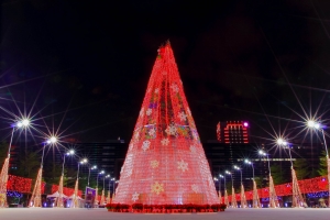 2013 Christmas ~