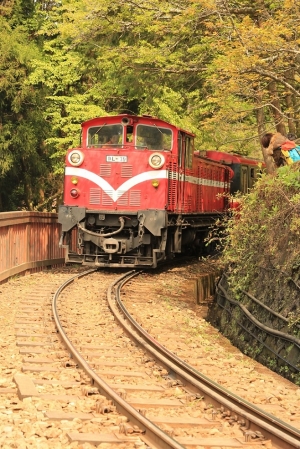 阿里山風景區美景