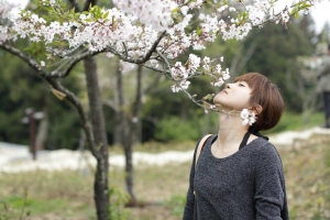 戀戀阿里山..