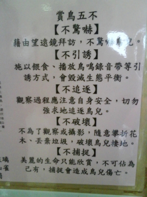 希望能宣導正確賞鳥拍攝的保育觀念(非戰文,勿戰謝謝)