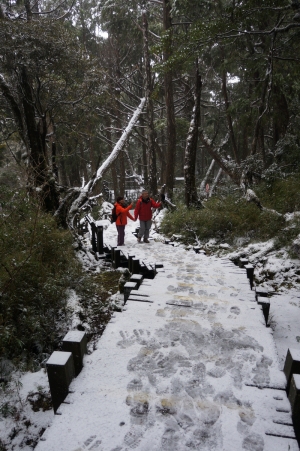 太平山下小雪