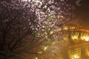 雨天的天元宮