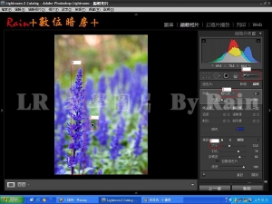 Lightroom2 背景去色 突顯主題