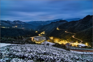 坪林．雪景