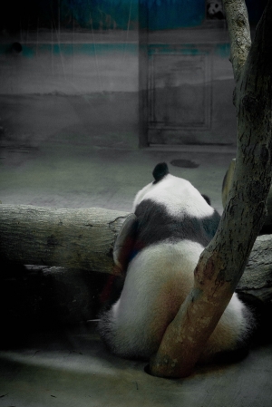 木柵動物園隨拍