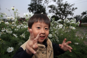 小小蟀哥1,2之蹤身花海