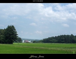 點點希望。20140713大沼公園、函館