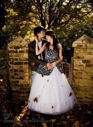 Mount Wilson婚纱摄影外拍活动