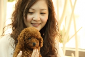 狗狗,加上美女.....