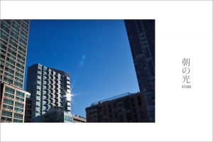 :::  Morning Light 朝の光 by DV :::